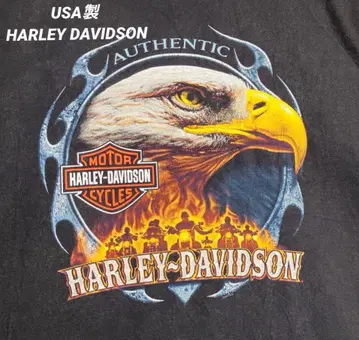 USA HARLEY DAVIDSON 이글 프레임 바이크 빈티지