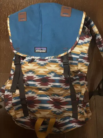 Patagonia 기하학 패턴 백팩