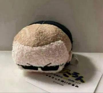 [새상품] 캡코론 바이오하자드 알버트 웨스커