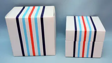 SMAP 12년 GIFT of SMAP CONCERT 주얼리 BOX