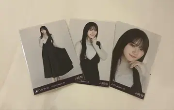카와사키 사쿠라 비대칭 컴프