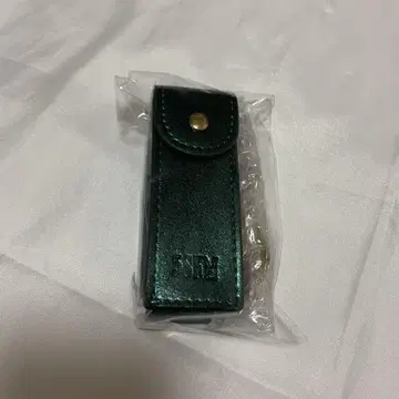 괴성 립 케이스