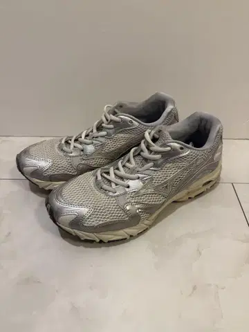 Mizuno Wave Rider 10 라이트 그레이 x 실버 25cm