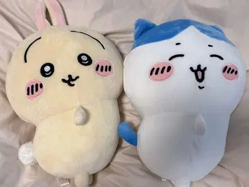 [ 치이카와 ] 토끼 하치와레 세트