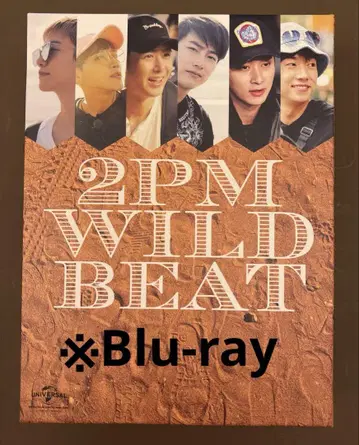 2PM WILD BEAT
