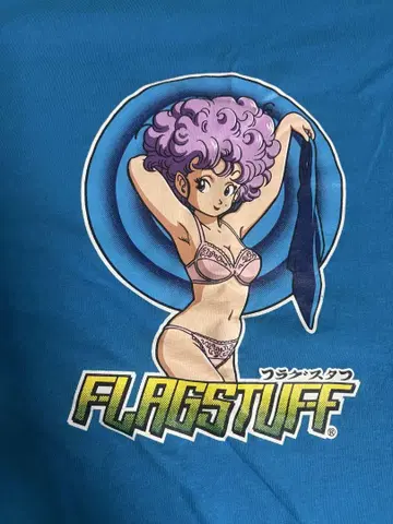 FLAGSTUFF 드래곤볼 티셔츠 M 사이즈