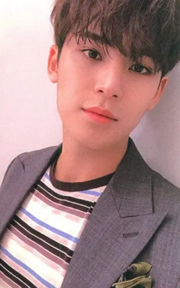 SEVENTEEN An Ode MINGYU 트레이딩 카드 보라색