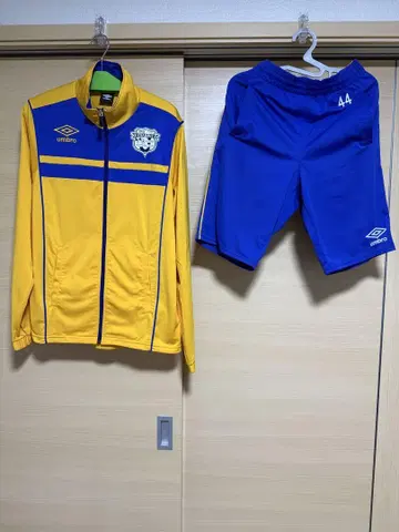 조사이 대학 축구