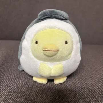 스미코구라시 수족관 펭귄