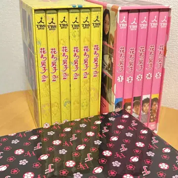 꽃보다 남자 DVD 세트