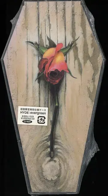HYDE 초회 한정판 8cm CD evergreen