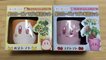 로손 커비 머그 & 재배 키트 쁘띠 토마토 와돌디