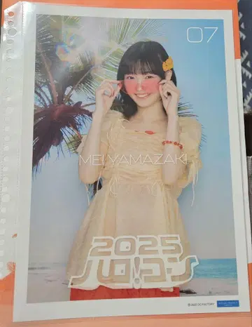 2025 하로!콘 핑포스