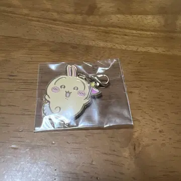 치이카와 파크 토끼 참가상