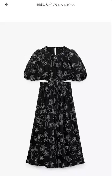 ZARA 포푸리 원피스