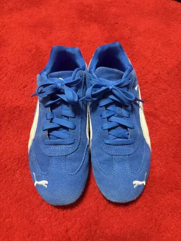 PUMA / 스피드캣 [ 25.0cm ]