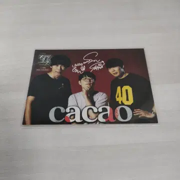 [즉시 구매 가능] 킹 오브 콩트 카페 트레이딩 카드 cacao 사복