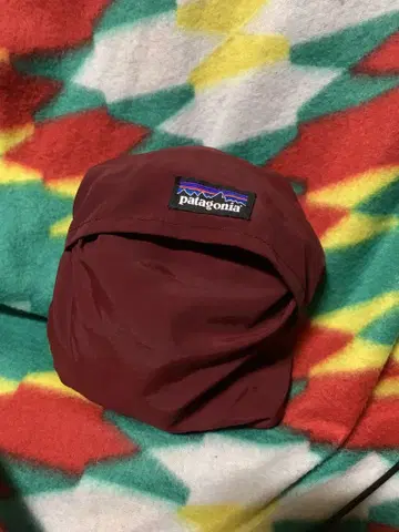 Patagonia carry ya'll bag 파타고니아 에코백