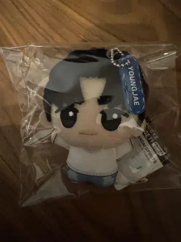 TWS SD 인형 YOUNGJAE 영재