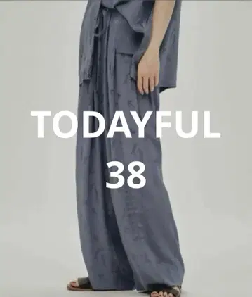 TODAYFUL Swallow Satin Pants