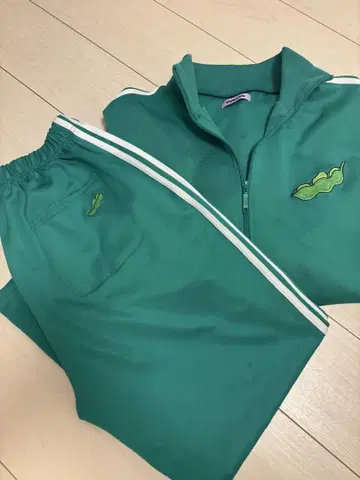 와타나베 나오미 프로듀스 PUNYUS 에다마메 상하의 저지
