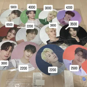 SEVENTEEN 디노 부채