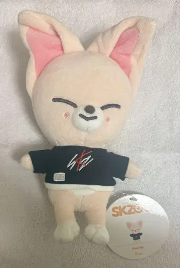 straykids 스키즈 SKZOO 아이엔 폭시니