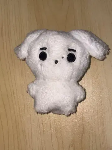 성훈 인형