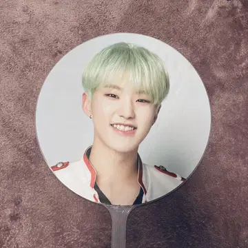 [ SEVENTEEN 호시 ] IDEAL CUT 부채