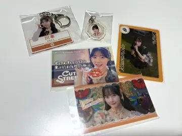 CUTIE STREET 카와모토 에루님 세트
