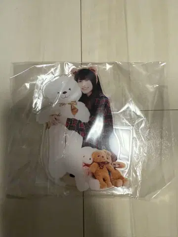 NOGI 넘기기 회장 한정판 S상 BIG 아크릴 스탠드 오오코시 히나노