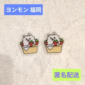 TXT 핀 배지 용몽 후쿠오카 수빈