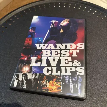 WANDS BEST LIVE & CLIPS 2매 DVD