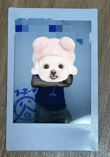 후스야 타니구치 폴라로이드