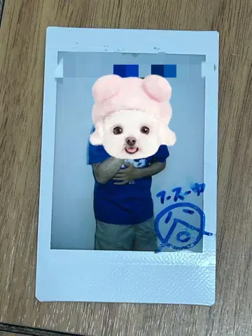 후스야 타니구치 폴라로이드