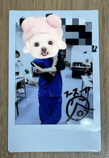 후스야 타니구치 폴라로이드