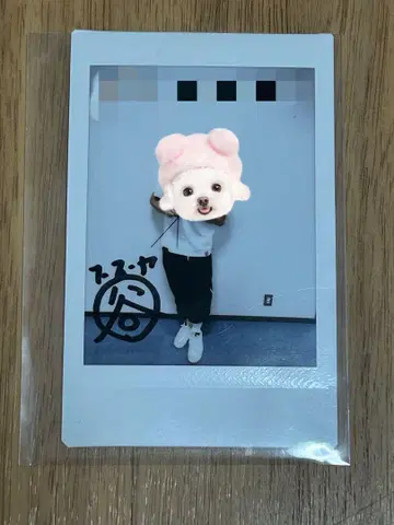 후스야 타니구치 폴라로이드