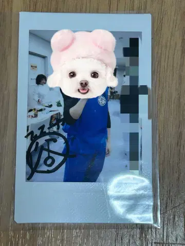 후스야 타니구치 폴라로이드