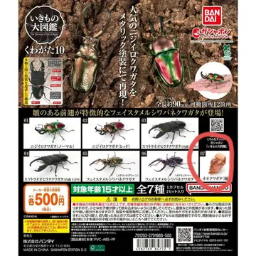생물대도감 사슴벌레10 왕사슴벌레 번데기