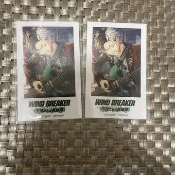 WIND BREAKER 불량배들의 영웅담 사쿠라 하루카 포토풍 카드