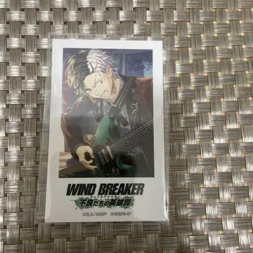 WIND BREAKER 불량배들의 영웅담 사쿠라 하루카 포토풍 카드