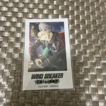 WIND BREAKER 불량배들의 영웅담 사쿠라 하루카 포토풍 카드