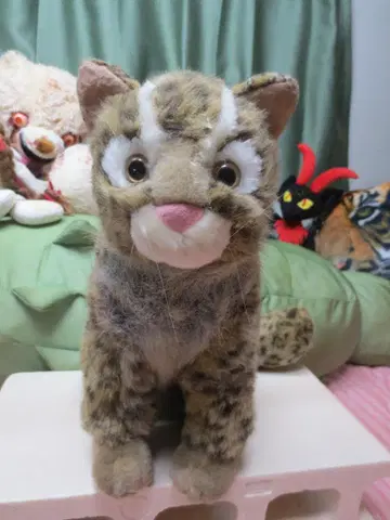 빈티지 제품 귀중! 이리오모테삵 서표범고양이 봉제 인형