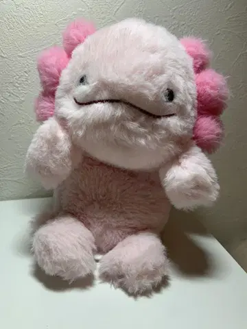 후바루즈 봉제 인형