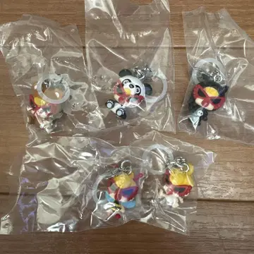 라스트 1점!! 히스미니 메지루시 액세서리 컴플리트 5종 세트
