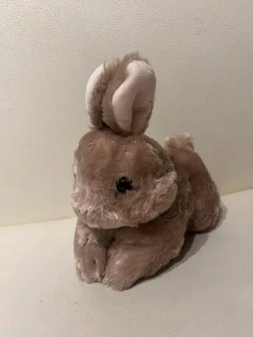 토끼 네덜란드 드워프 봉제인형 다이토 한정판 새상품급