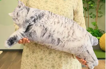 리얼 뚱냥이 쿠션 2 엎드린 봉제인형 고양이