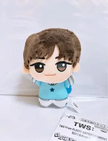 TWS 트와이스 SD 인형 JIHOON 지훈