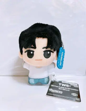 TWS 트와이스 SD 인형 YOUNGJAE 영재