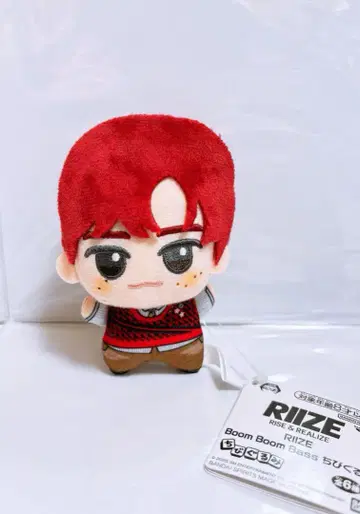 RIIZE Boom Boom Bass SD 인형 라이즈 소희 봉제 인형